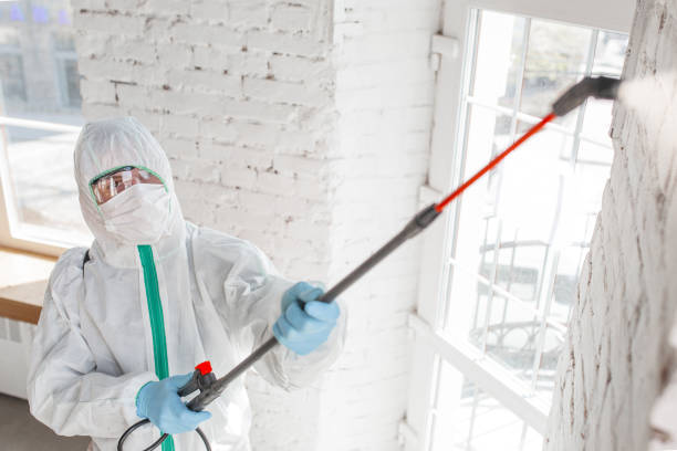 Best Commercial Mold Inspection  in Rockfish, NC