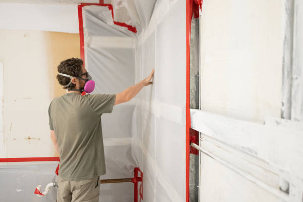 Biohazard Mold Removal in Rockfish, NC