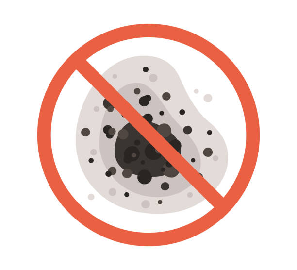 Trusted Rockfish, NC Mold Removal Experts