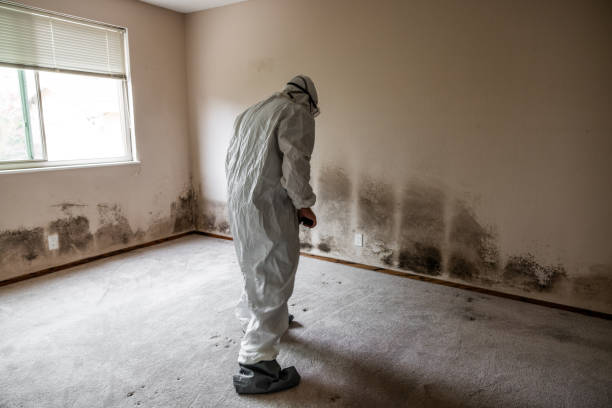 Best Post-Construction Mold Inspection  in Rockfish, NC